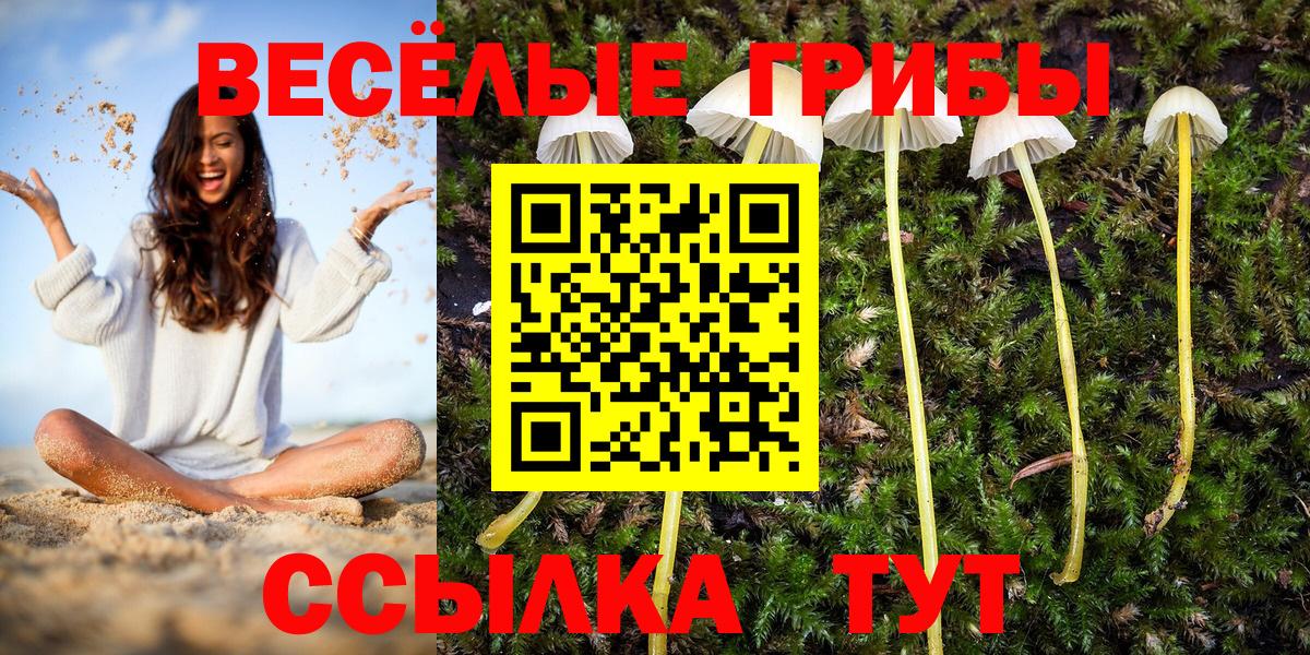 Псилоцибиновые грибы Magic Shrooms Севастополь