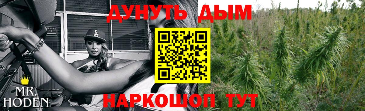 Бошки марихуана гибрид  Каннабис OG Kush  МАРИХУАНА гибрид  Вход с VPN  Севастополь  Марихуана сатива 